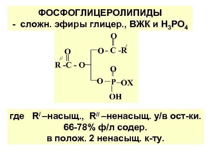 ФОСФОГЛИЦЕРОЛИПИДЫ - сложн. эфиры глицер. , ВЖК и Н 3 РО 4 где R/