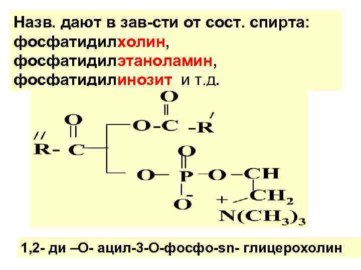 Назв. дают в зав-сти от сост. спирта: фосфатидилхолин, фосфатидилэтаноламин, фосфатидилинозит и т. д. 1,
