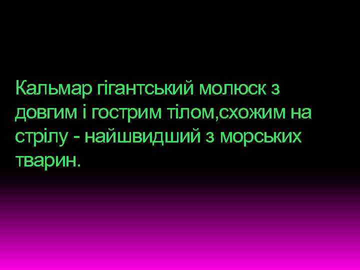 Кальмар гігантський молюск з довгим і гострим тілом, схожим на стрілу - найшвидший з