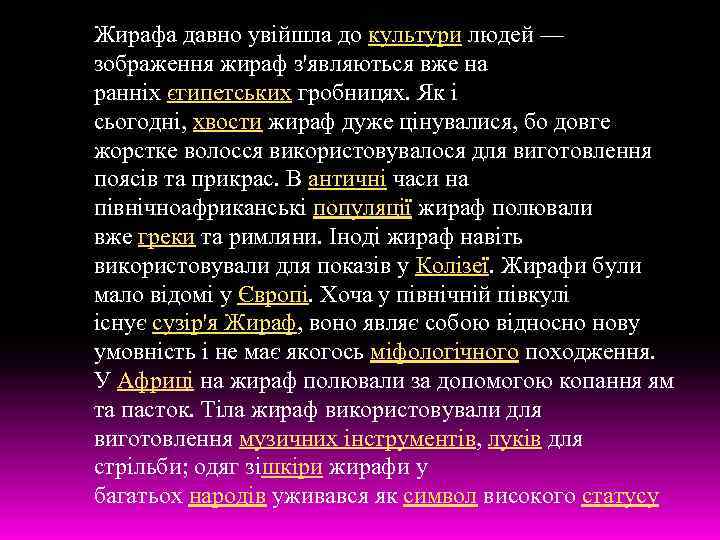 Жирафа давно увійшла до культури людей — зображення жираф з'являються вже на ранніх єгипетських