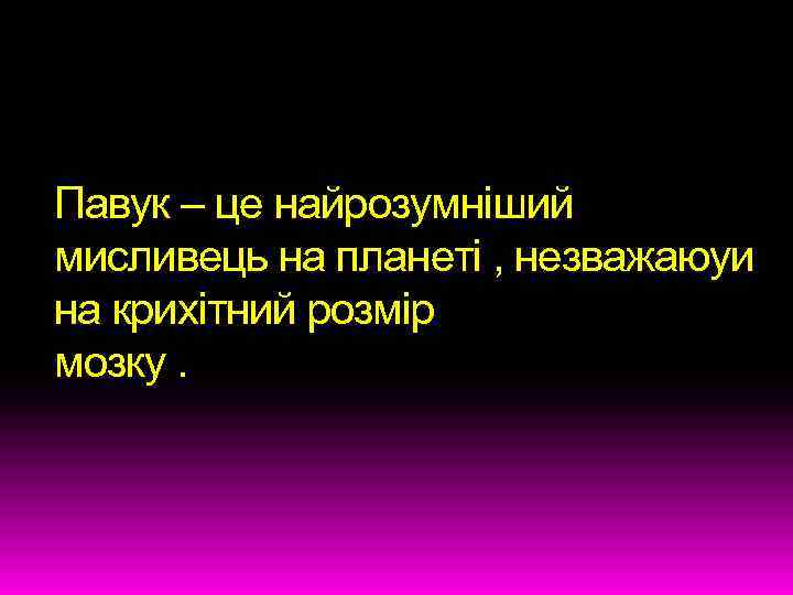 Павук – це найрозумніший мисливець на планеті , незважаюуи на крихітний розмір мозку. 