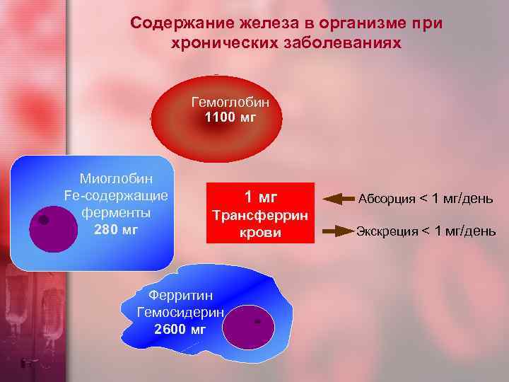 Содержание железа в организме при хронических заболеваниях Гемоглобин 1100 мг Миоглобин Fe-содержащие ферменты 280