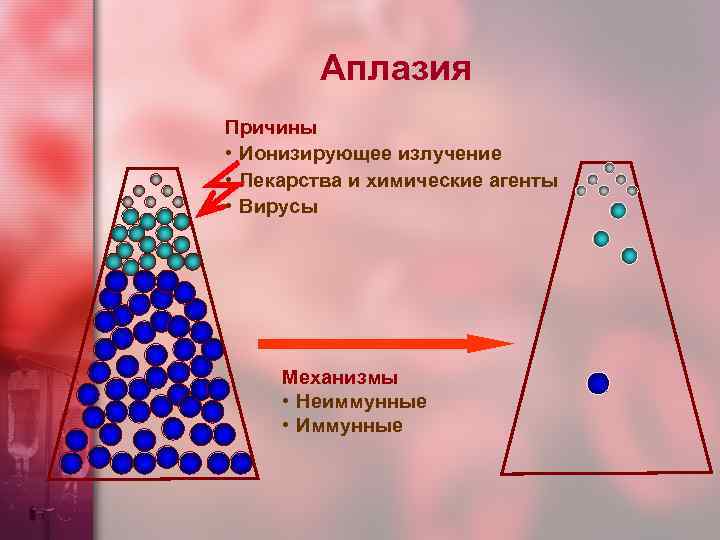 Аплазия Причины • Ионизирующее излучение • Лекарства и химические агенты • Вирусы Механизмы •