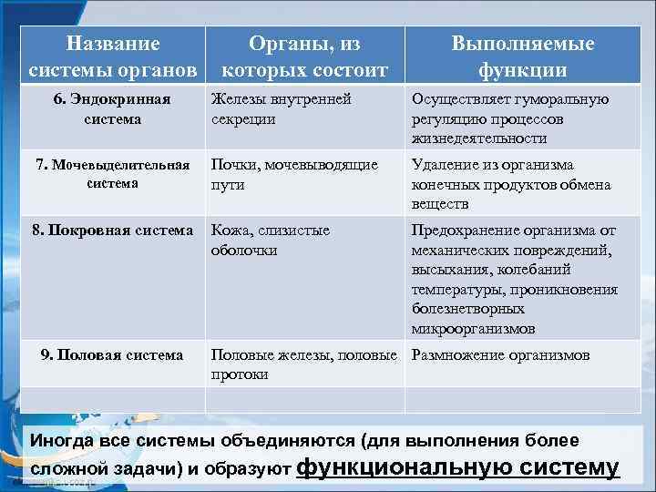 Название системы органов 6. Эндокринная система 7. Мочевыделительная система 8. Покровная система 9. Половая