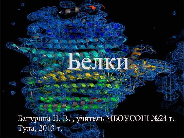 Белки Бачурина Н. В. , учитель МБОУСОШ № 24 г. Тула, 2013 г. 