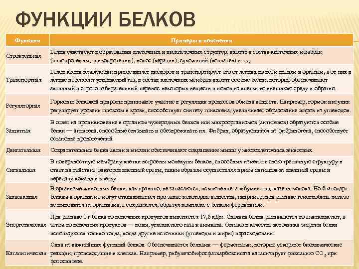 ФУНКЦИИ БЕЛКОВ Функция Примеры и пояснения Строительная Белки участвуют в образовании клеточных и внеклеточных