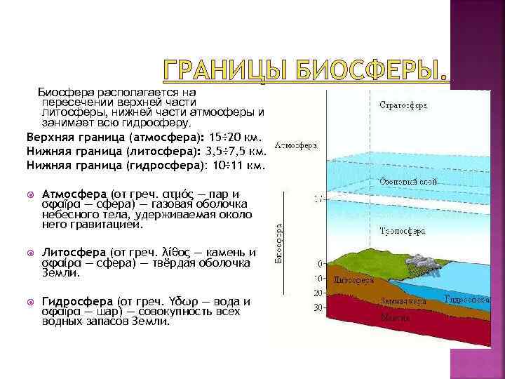 Биосфера границы биосферы атмосфера гидросфера литосфера. Воды нижняя граница