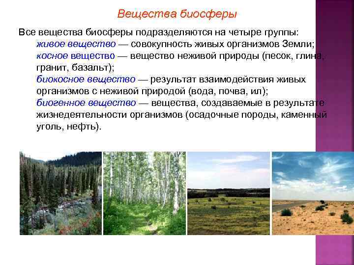 Вещества биосферы Все вещества биосферы подразделяются на четыре группы: живое вещество — совокупность живых