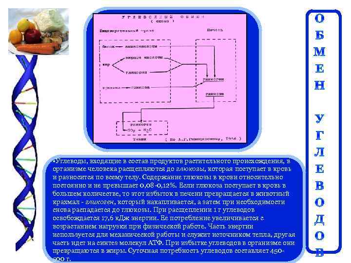  • Углеводы, входящие в состав продуктов растительного происхождения, в организме человека расщепляются до