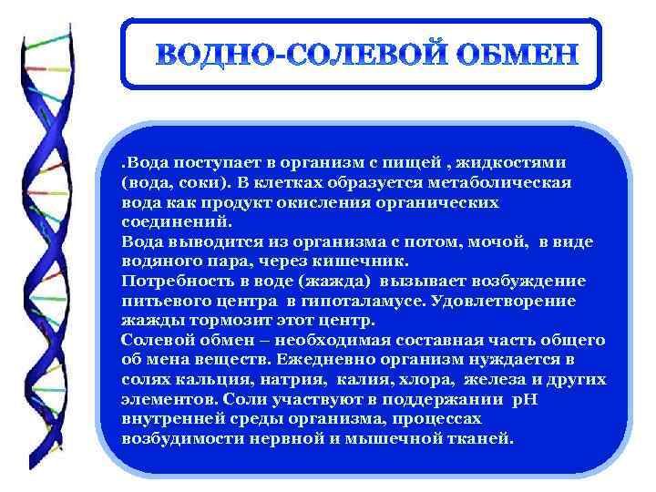 . Вода поступает в организм с пищей , жидкостями (вода, соки). В клетках образуется