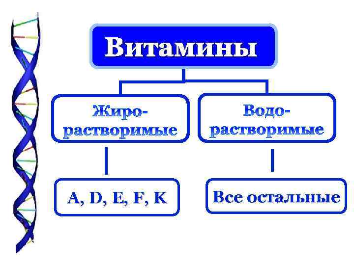 Витамины A, D, E, F, K Все остальные 