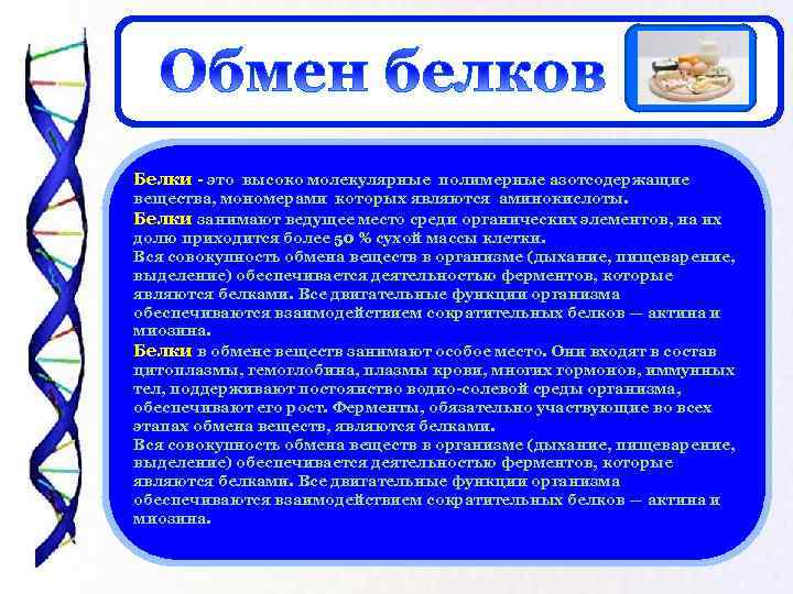 Белки - это высоко молекулярные полимерные азотсодержащие вещества, мономерами которых являются аминокислоты. Белки занимают