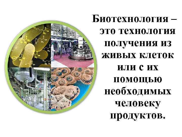 Биотехнология – это технология получения из живых клеток или с их помощью необходимых человеку