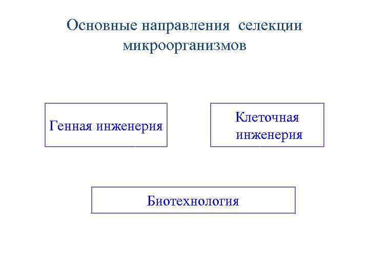 Основные направления селекции микроорганизмов Генная инженерия Клеточная инженерия Биотехнология 