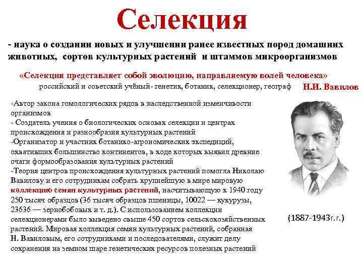 Селекция - наука о создании новых и улучшении ранее известных пород домашних животных, сортов