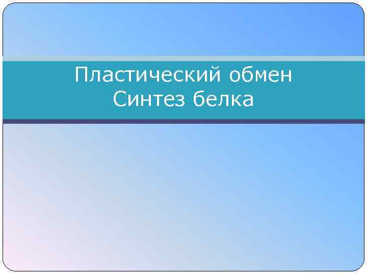 Пластический обмен Синтез белка 