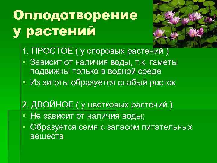 Оплодотворение у растений 1. ПРОСТОЕ ( у споровых растений ) § Зависит от наличия