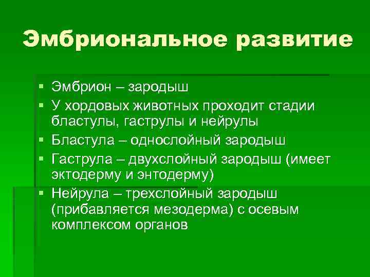 Эмбриональное развитие § Эмбрион – зародыш § У хордовых животных проходит стадии бластулы, гаструлы