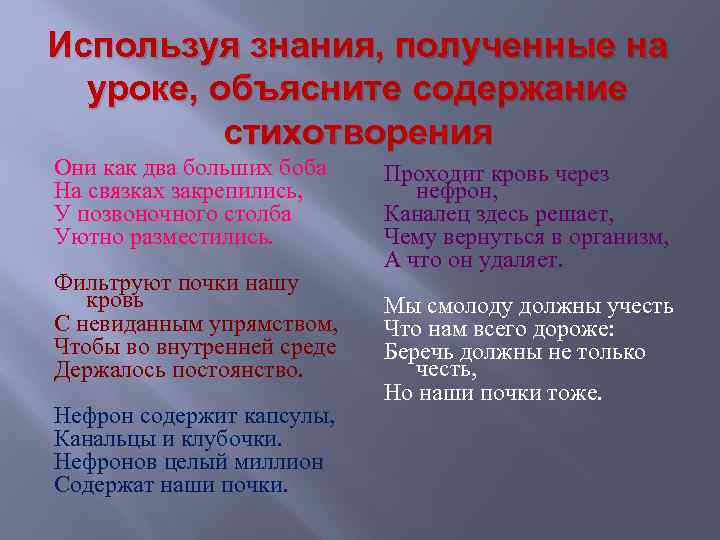 Используя знания, полученные на уроке, объясните содержание стихотворения Они как два больших боба На