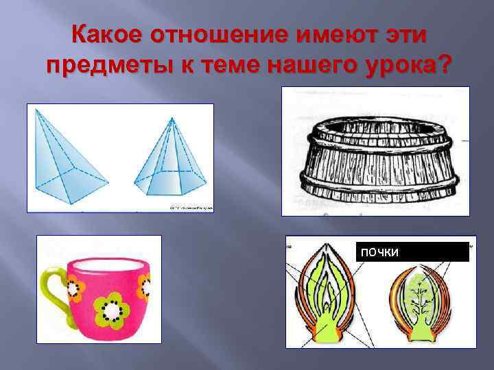 Какое отношение имеют эти предметы к теме нашего урока? ЛОХАНЬ ПИРАМИДА ПОЧКИ 