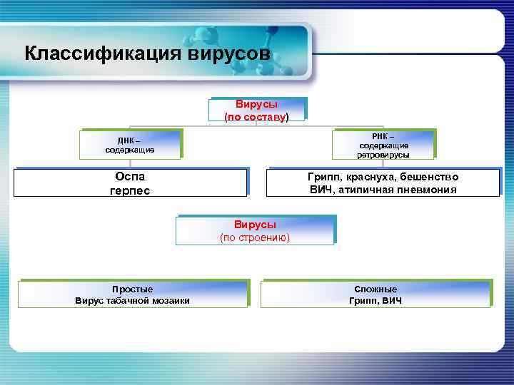  Классификация вирусов Вирусы (по составу) ДНК – содержащие РНК – содержащие ретровирусы Оспа