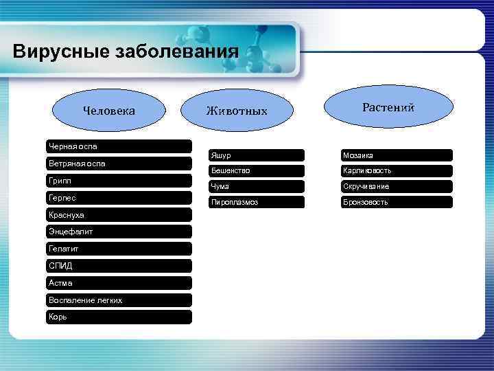 Вирусные заболевания Человека Животных Растений Черная оспа Ветряная оспа Грипп Герпес Яшур Мозаика Бешенство