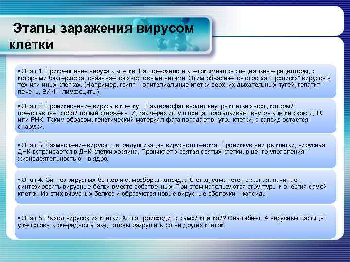  Этапы заражения вирусом клетки • Этап 1. Прикрепление вируса к клетке. На поверхности