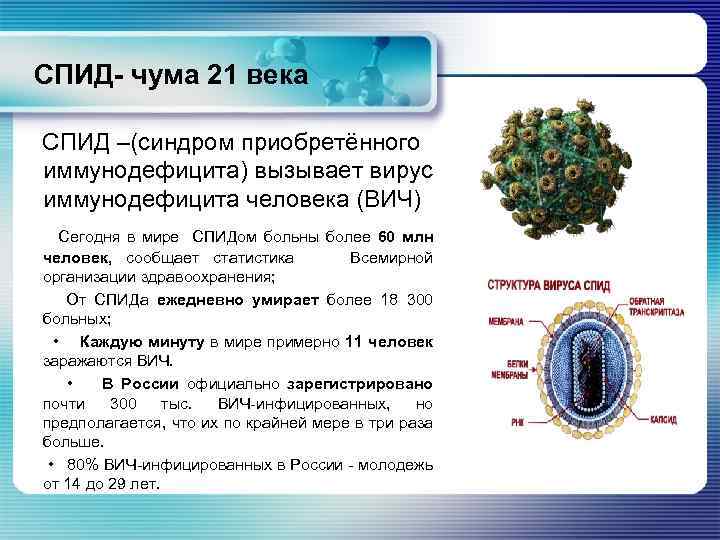  СПИД- чума 21 века СПИД –(синдром приобретённого иммунодефицита) вызывает вирус иммунодефицита человека (ВИЧ)