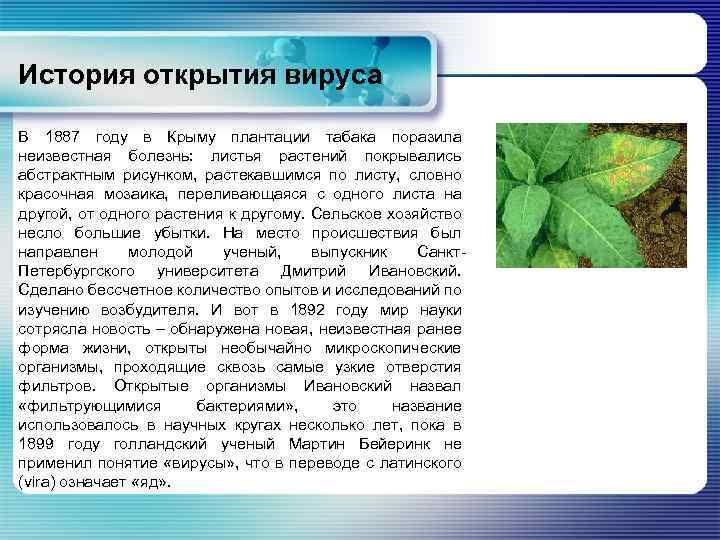 История открытия вируса В 1887 году в Крыму плантации табака поразила неизвестная болезнь: листья