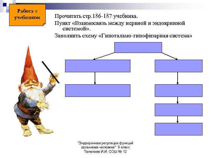 Работа с учебником Прочитать стр. 186 -187 учебника. Пункт «Взаимосвязь между нервной и эндокринной