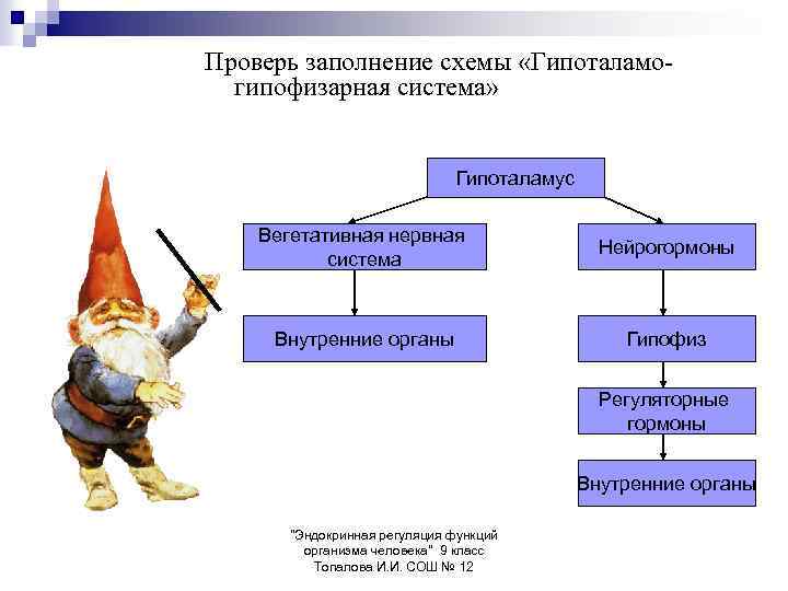 Проверь заполнение схемы «Гипоталамогипофизарная система» Гипоталамус Вегетативная нервная система Нейрогормоны Внутренние органы Гипофиз Регуляторные