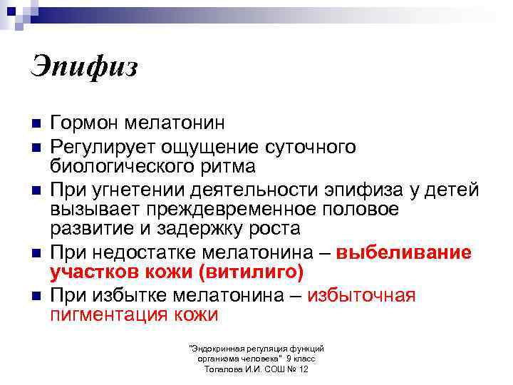 Эпифиз n n n Гормон мелатонин Регулирует ощущение суточного биологического ритма При угнетении деятельности