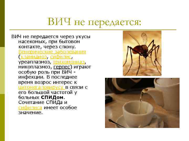 ВИЧ не передается: ВИЧ не передается через укусы насекомых, при бытовом контакте, через слюну.