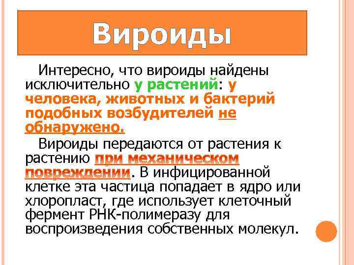 Вироиды Интересно, что вироиды найдены исключительно у растений: у человека, животных и бактерий подобных