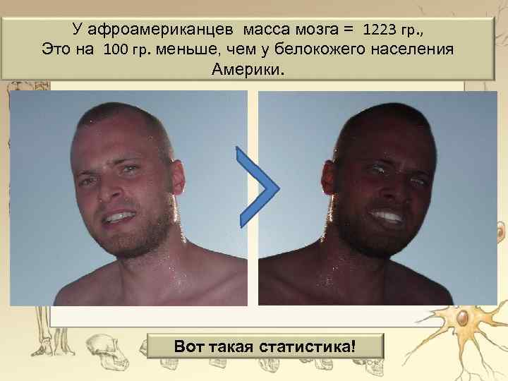 У афроамериканцев масса мозга = 1223 гр. , Это на 100 гр. меньше, чем