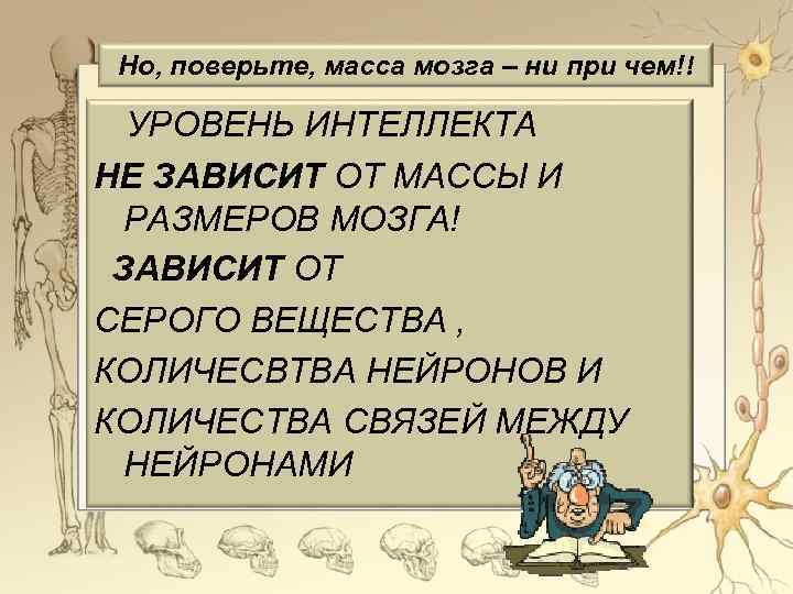 Но, поверьте, масса мозга – ни при чем!! УРОВЕНЬ ИНТЕЛЛЕКТА НЕ ЗАВИСИТ ОТ МАССЫ