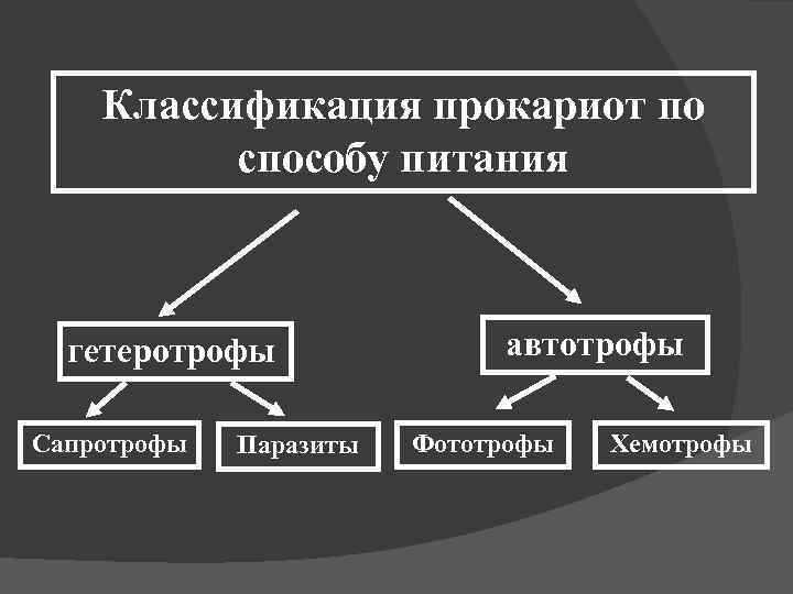 Классификация прокариот по способу питания гетеротрофы Сапротрофы Паразиты автотрофы Фототрофы Хемотрофы 