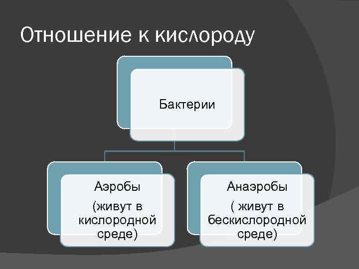 Отношение к кислороду Бактерии Аэробы (живут в кислородной среде) Анаэробы ( живут в бескислородной