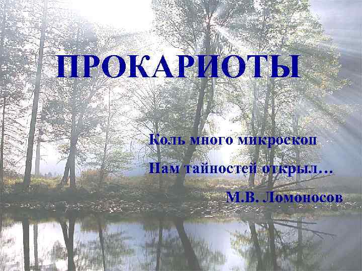 ПРОКАРИОТЫ Коль много микроскоп Нам тайностей открыл… М. В. Ломоносов 