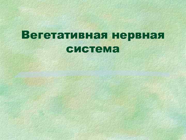 Вегетативная нервная система 