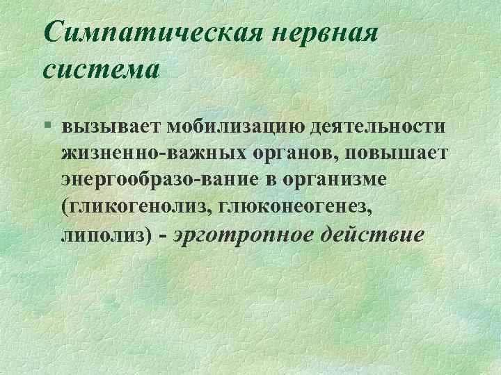 Симпатическая нервная система § вызывает мобилизацию деятельности жизненно-важных органов, повышает энергообразо-вание в организме (гликогенолиз,