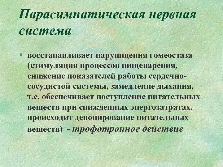Парасимпатическая нервная система § восстанавливает нарушщения гомеостаза (стимуляция процессов пищеварения, снижение показателей работы сердечнососудистой