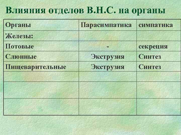 Влияния отделов В. Н. С. на органы Органы Железы: Потовые Слюнные Пищеварительные Парасимпатика Экструзия