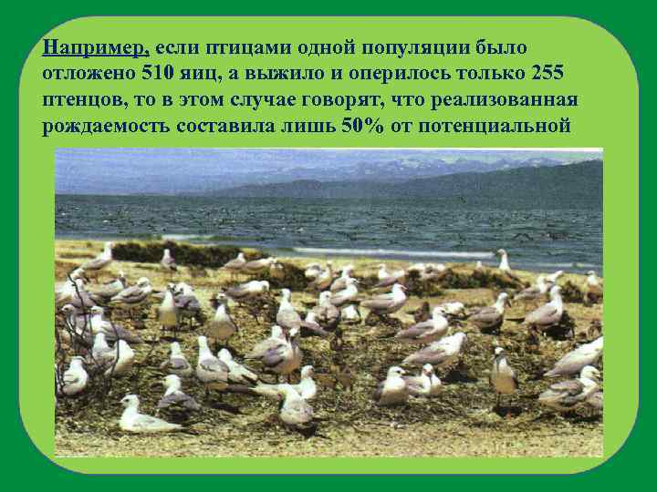 Например, если птицами одной популяции было отложено 510 яиц, а выжило и оперилось только