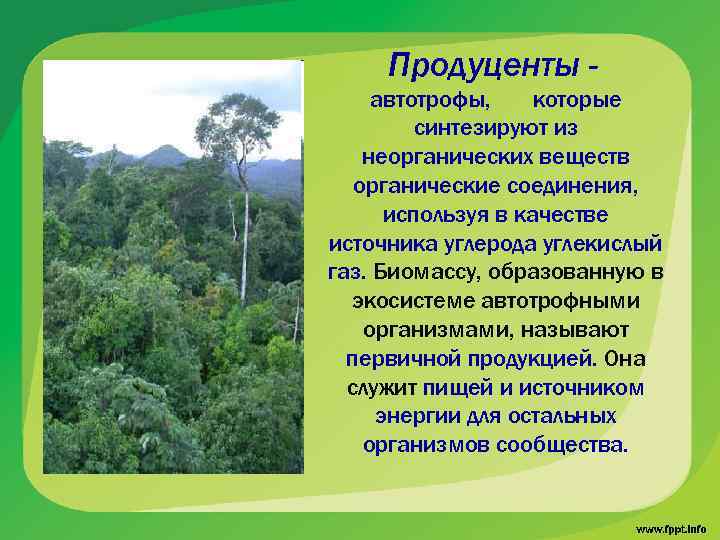 Продуценты автотрофы, которые синтезируют из неорганических веществ органические соединения, используя в качестве источника углерода