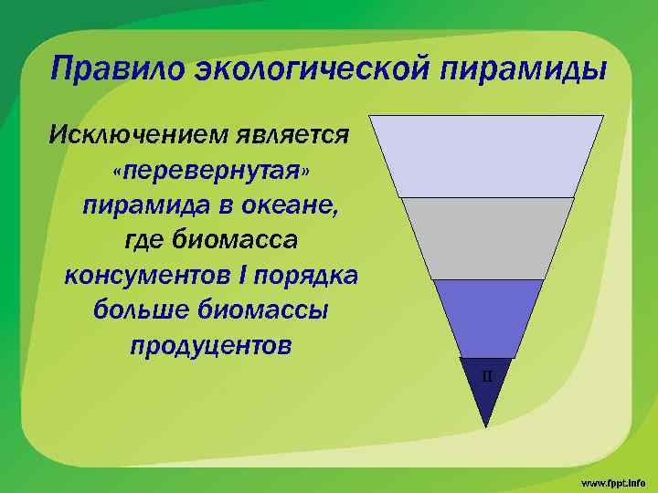 Правило экологической пирамиды Исключением является «перевернутая» пирамида в океане, где биомасса консументов I порядка