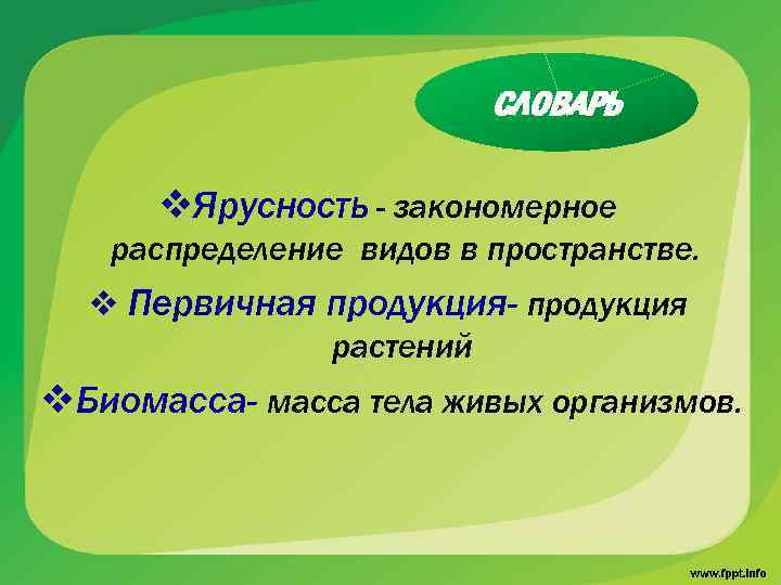 СЛОВАРЬ v. Ярусност. Ь - закономерное распределение видов в пространстве. v Первичная продукция- продукция