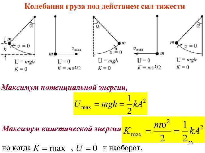 Колебания груза под действием сил тяжести Максимум потенциальной энергии, Максимум кинетической энергии но когда