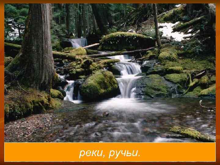 реки, ручьи. 