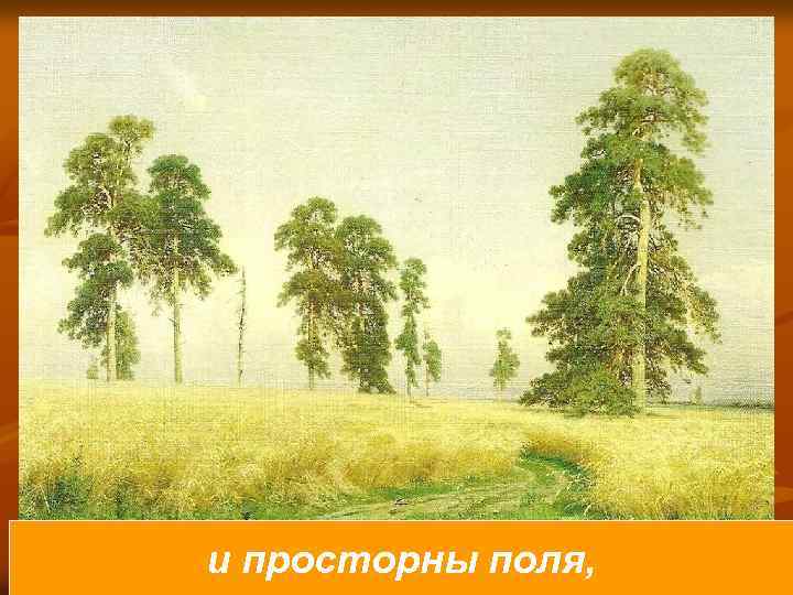 и просторны поля, 